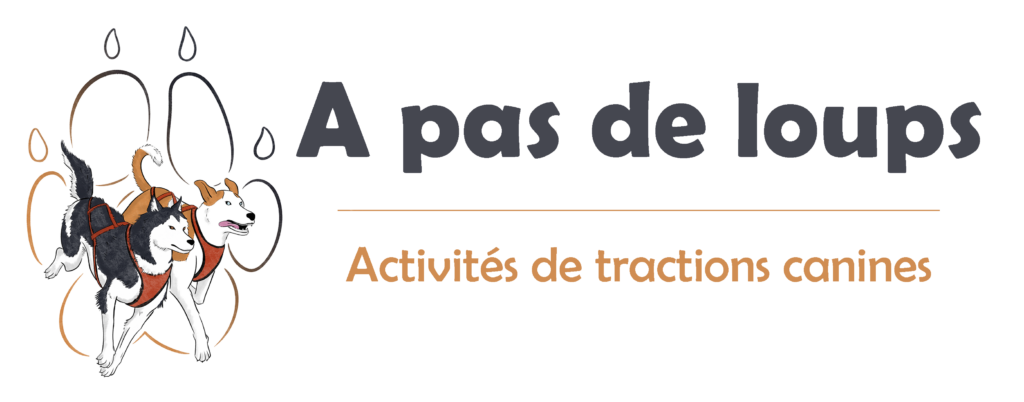 logo-a-pas-de-loups-contour