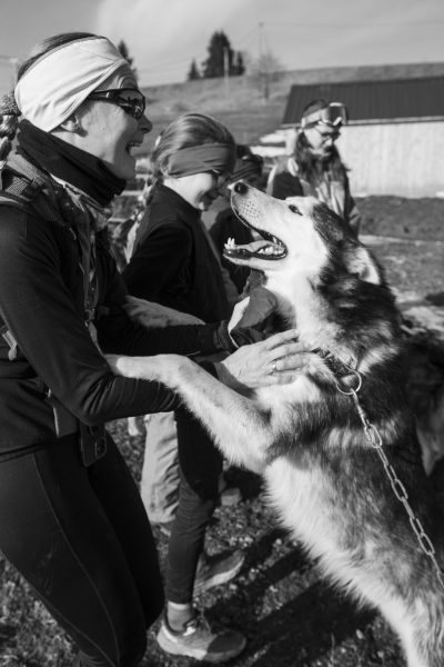 A Pas de Loups activité traction animale chiens de traineaux kart cani-balade photo noir blanc