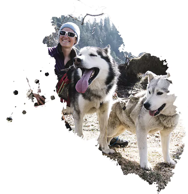 A Pas de Loups balade chiens de traineaux axelle